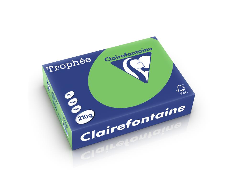 PAPIER A4 210G VERT MENTHE TRORamette de papier A4 trophe intense vert menthe 210g Clairefontaine