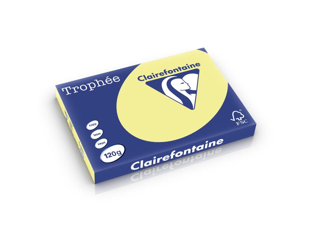 PAPIER A3 120G TRO. 250F JONQURamette de papier A3 trophe pastel jonquille 120g Clairefontaine