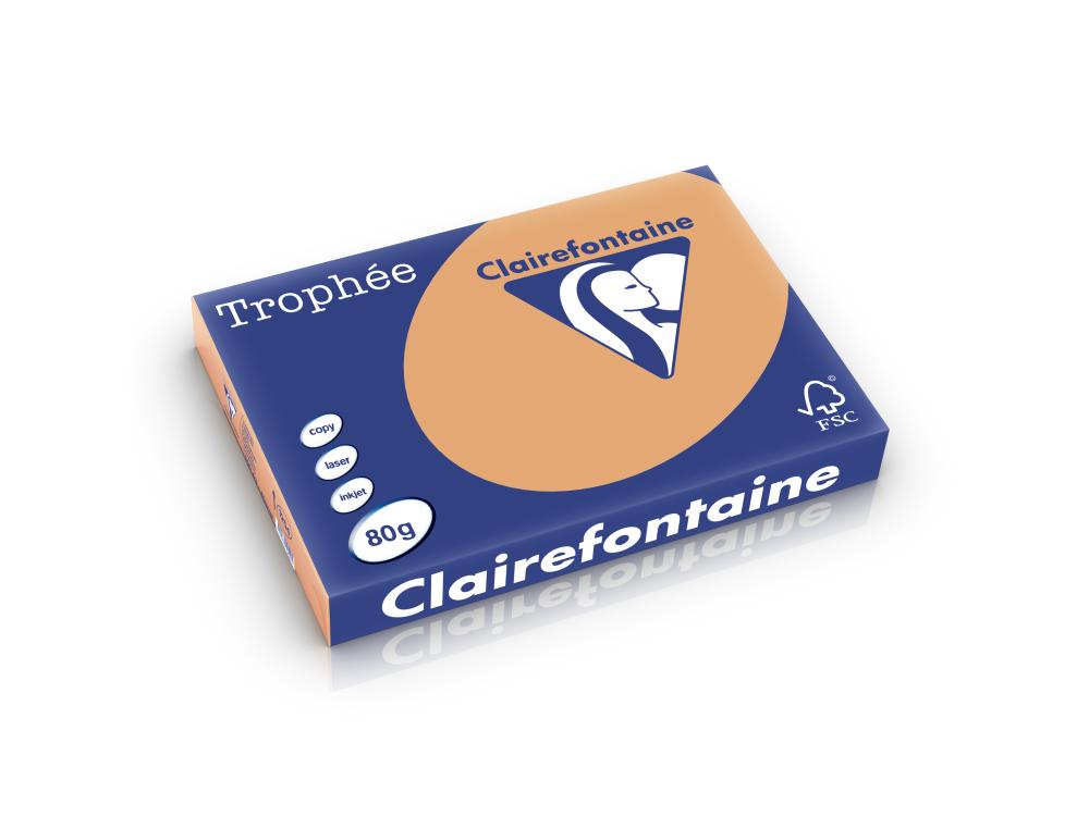 PAPIER A3 80G CARAMEL TRO.500FRamette de papier A3 trophe pastel caramel 80g Clairefontaine