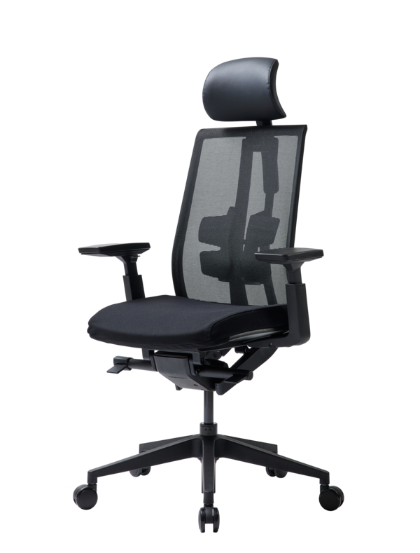 DUOREST FAUTEUIL ERGO D3